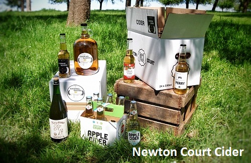 newton court cider